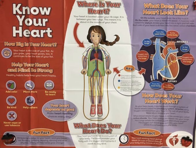 Three cheers for Mrs. Buck, 👏🏼👏🏼👏🏼who led us in the Kid's Heart Challenge to teach our students about healthy living choices! Together,  we raised $3,905 for this cause! ❤️<a href="/HeartAssocMN/">AmericanHeartAssocMN</a> <a href="/ISD196schools/">DISTRICT 196-ʀᴏsᴇᴍᴏᴜɴᴛ-ᴀᴘᴘʟᴇ ᴠᴀʟʟᴇʏ-ᴇᴀɢᴀɴ sᴄʜᴏᴏʟs</a>