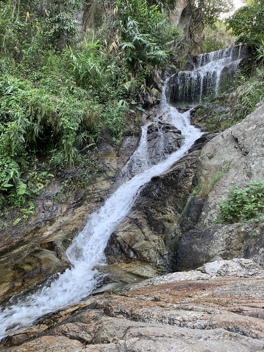 Chiang Mai ❤️🐘