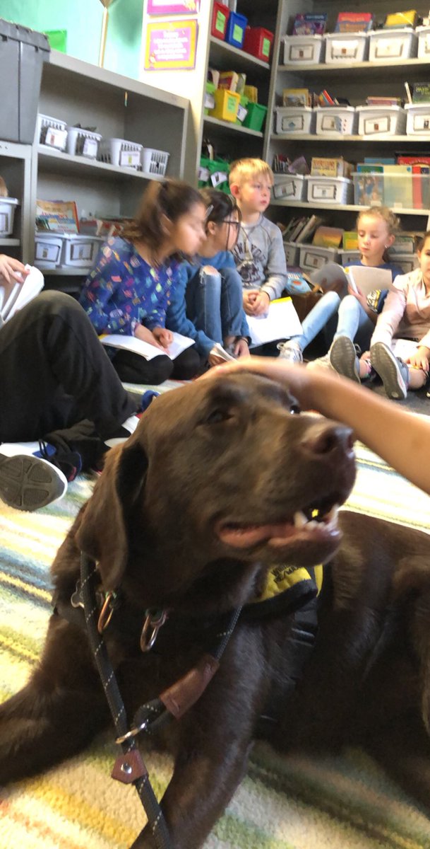 shellie avery-franz (@averyshellie) on Twitter photo Class meeting #wleced <a href="/dog_champion/">Champ- MHG Therapy Dog</a> @Myshellwlcsd <a href="/HouseMonica/">Monica House</a> <a href="/GuestElementary/">Guest Elementary</a> @Myshellwlcsd Class meeting #wleced <a href="/dog_champion/">Champ- MHG Therapy Dog</a> @Myshellwlcsd <a href="/HouseMonica/">Monica House</a> <a href="/GuestElementary/">Guest Elementary</a> @Myshellwlcsd