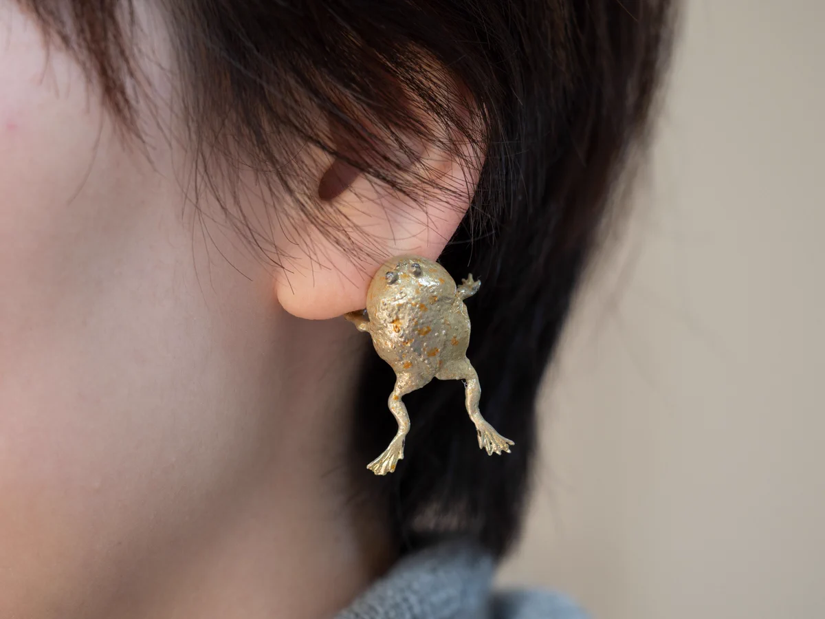 「耳かじりましょうか？」マルメタピオカガエルが耳を噛む？！