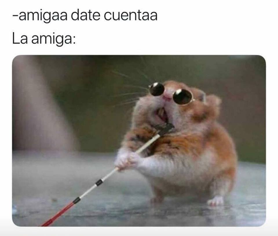 77Amiga's tweet photo. #AmigaDateCuenta #StandUpComedy
#StandUp #Comedia #LGBT #Risas #Arcoíris #CDMX #ComedianLife  #Joteanding #Jotorreo #Comedian #NaviGay #Prejoteo #GayComedy #JoteandoAndo #Ellaaa #EsoMamona https://t.co/2wiQH35U0J