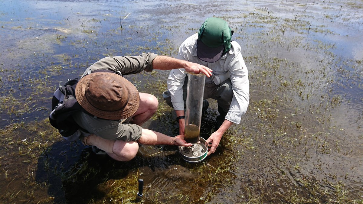 Sampling for benthic invertebrates at L. McLarty (bugs in the lake bed mud).  The "bugs" are the reason birds fly half way round the planet to visit this wetland - now we'll have an idea of exactly what's on the menu.  @AusLandcare <a href="/PeelHarveyCC/">PeelHarveyCC</a> <a href="/RickJames_PHCC/">RickJames_PHCC</a> <a href="/Science_DBCA/">Biodiversity and Conservation Science</a>