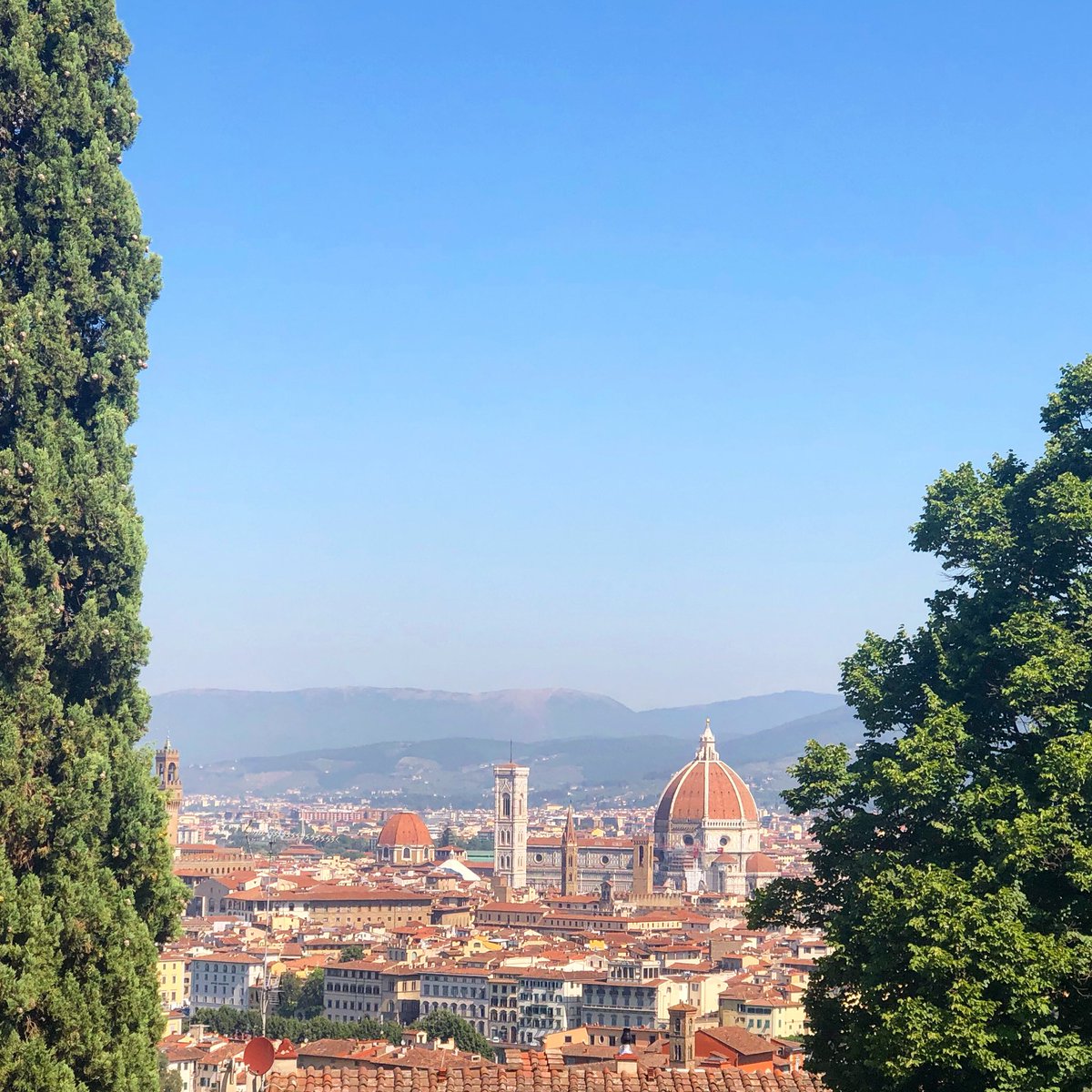 Experience a wonderful day trip to Florence with one of our drivers #tuscandrivers #localtannins #florence #instaflorence #tuscany