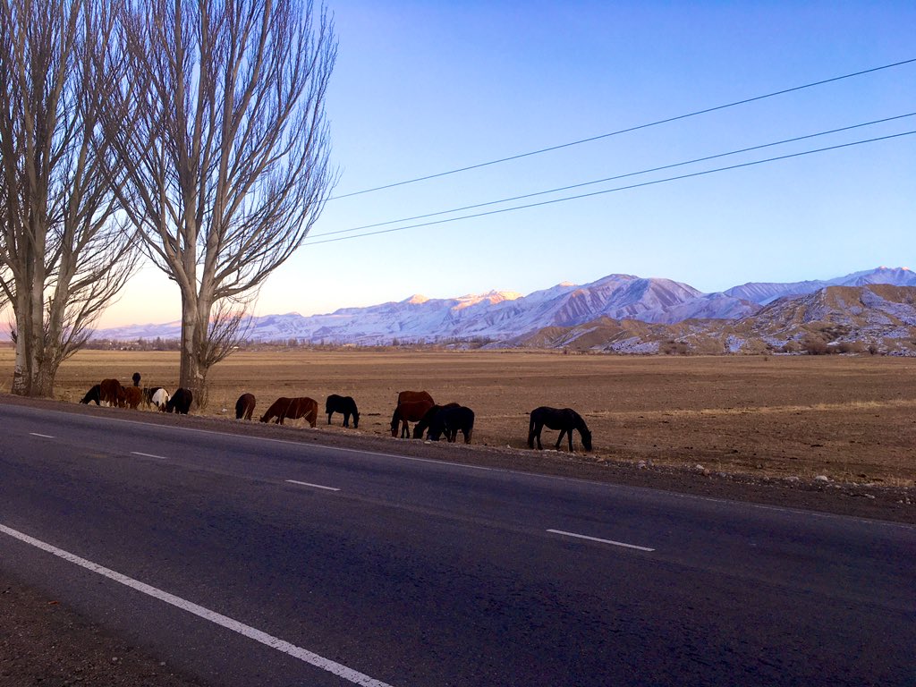 JereMeSigmon's tweet photo. Wishing my #GreenBuilding family a happy, successful, rewarding, restorative, and regenerative #Greenbuild I’m #Atlanta from the beautiful valleys of the Kyrgyz #mountains in Central Asia! @Greenbuild #Kyrgyzstan #ActOnClimate #BetterBuildGreen #SustainableDevelopment https://t.co/5FS9ZrwoEh