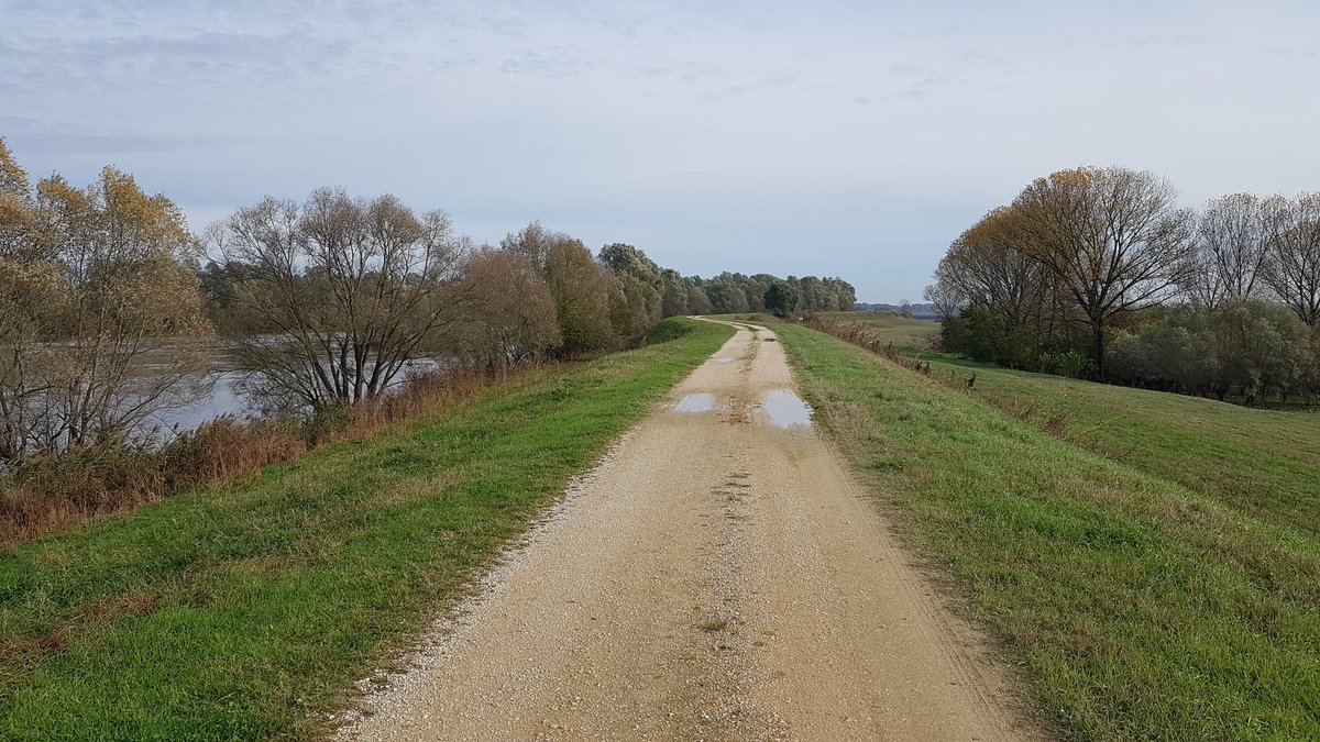 nicsat72's tweet photo. Passeggiata rigenerante in solitaria sull'argine del fiume Adige...sperando di smaltire qualche kg 🤣🤣🤣🤣 https://t.co/CGuWLNU9zE