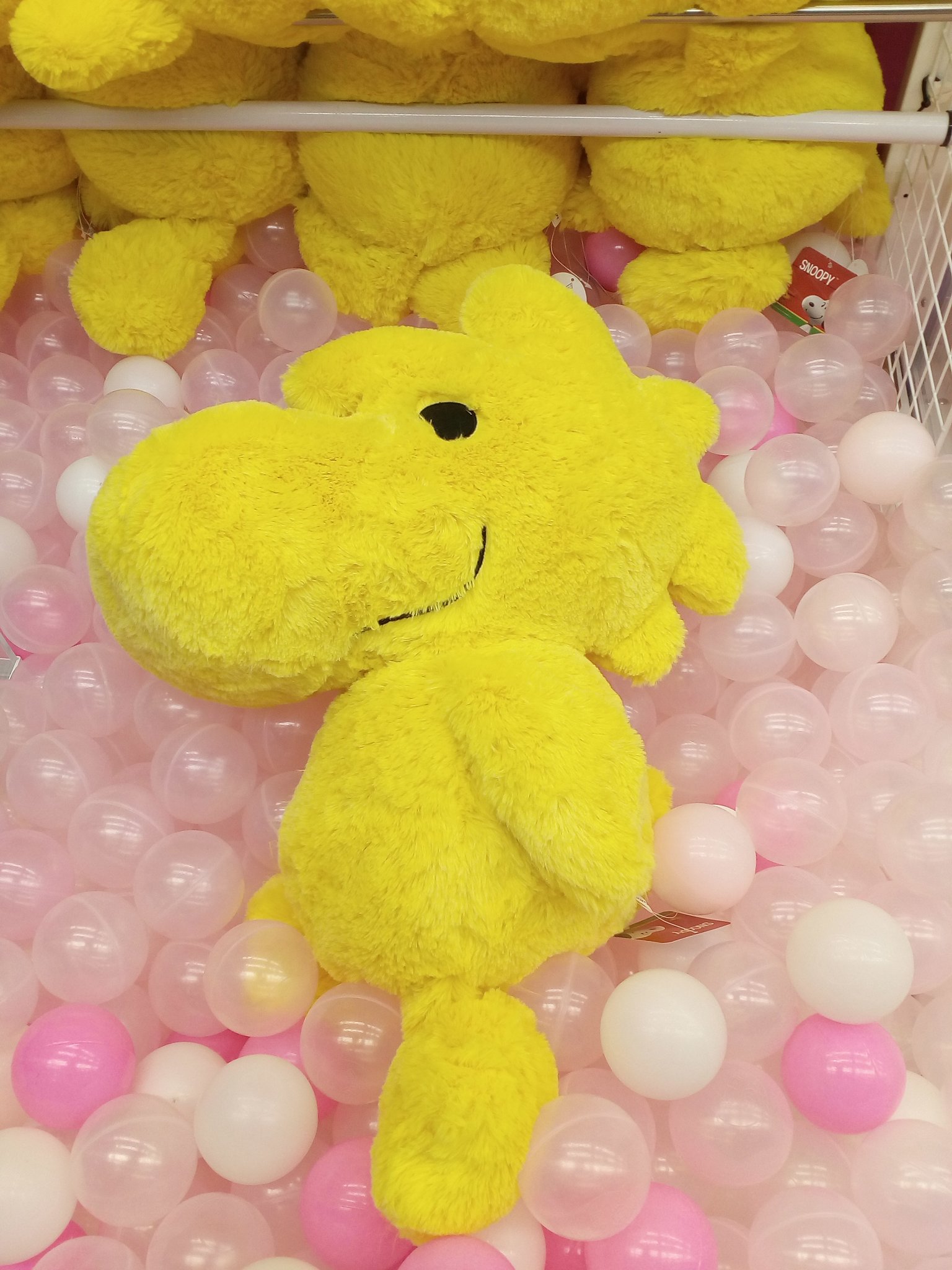 ラウンドワン下関店 景品情報 スヌーピーの大親友 ウッドストックの超bigぬいぐるみが登場してます スヌーピーよりも大きいかもしれません 下ラ ウッドストック スヌーピー T Co I3xcjuwnux Twitter