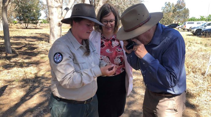 RegionCanberra's tweet photo. New nature reserve for threatened native species at #Franklin Grasslands proposed as trade-off to environmental impacts of #Yarralumla Brickworks upgrade https://t.co/wclfzTtrzg https://t.co/grhyMrxYzz