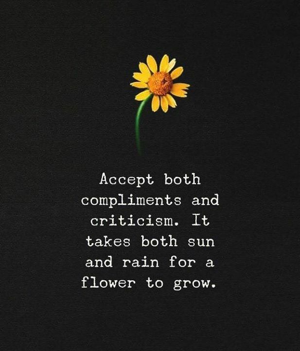 It takes both compliments and criticism to grow...