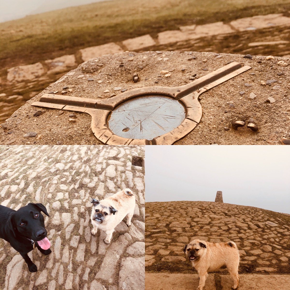 keycarleasing's tweet image. 