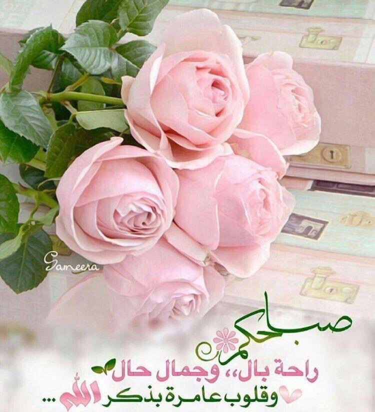 Ali Jannati (@na69066) on Twitter photo 