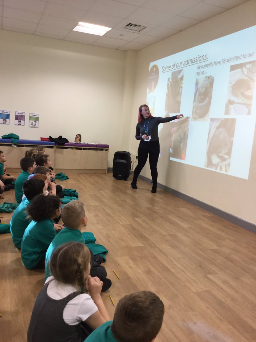 Mrs Howley Head of School tweet media