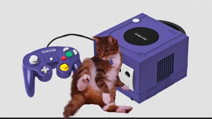 Cats on Consoles tweet media