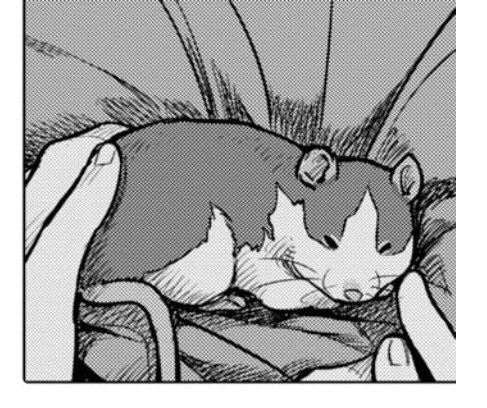 コミケの評論スペースで増えてきたもの 親の介護 葬式 闘病マンガ 終活本など先人の知恵が読めると知り興味持つ人も Togetter コミケの評論スペースで増えてきたもの 親の介護 葬式 闘病マンガ 終活本など先人の知恵が読めると知り興味持つ人も Togetter