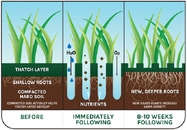 dhedges_gower's tweet image. #Aerating with a #fork, will only fractionally improve less than 1% of garden lawns.   For longest lasting results, #HollowTining will allow air space to remain in #soil for longer.  A solid mass (a fork) into a near solid mass cannot relieve compaction using a fork.