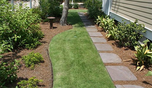 Avail The Best Spring Clean-Up Packages - scapesearth.livejournal.com/2206.html
#TreeRemoval
#HedgeTrimming
#FallCleanUp
#TreePruning