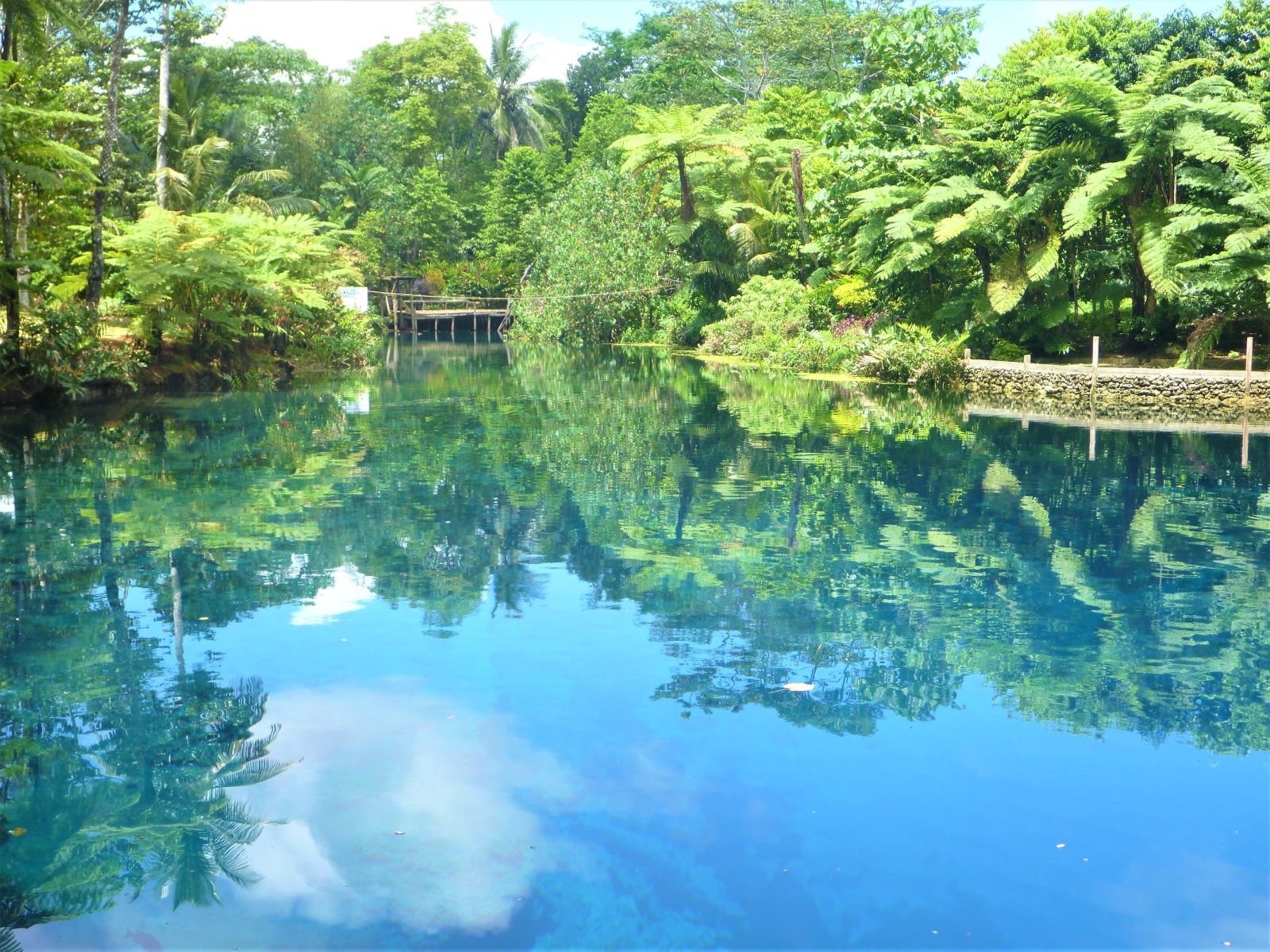 ユーラシア旅行社 公式 世界旅情報 Twitter वर 太平洋に浮かぶ島国バヌアツ 火を噴くヤスール火山がある南のタンナ島が有名ですが 北のサント島のブルーホールも見逃せません バヌアツ サント島 ブルーホール 絶景