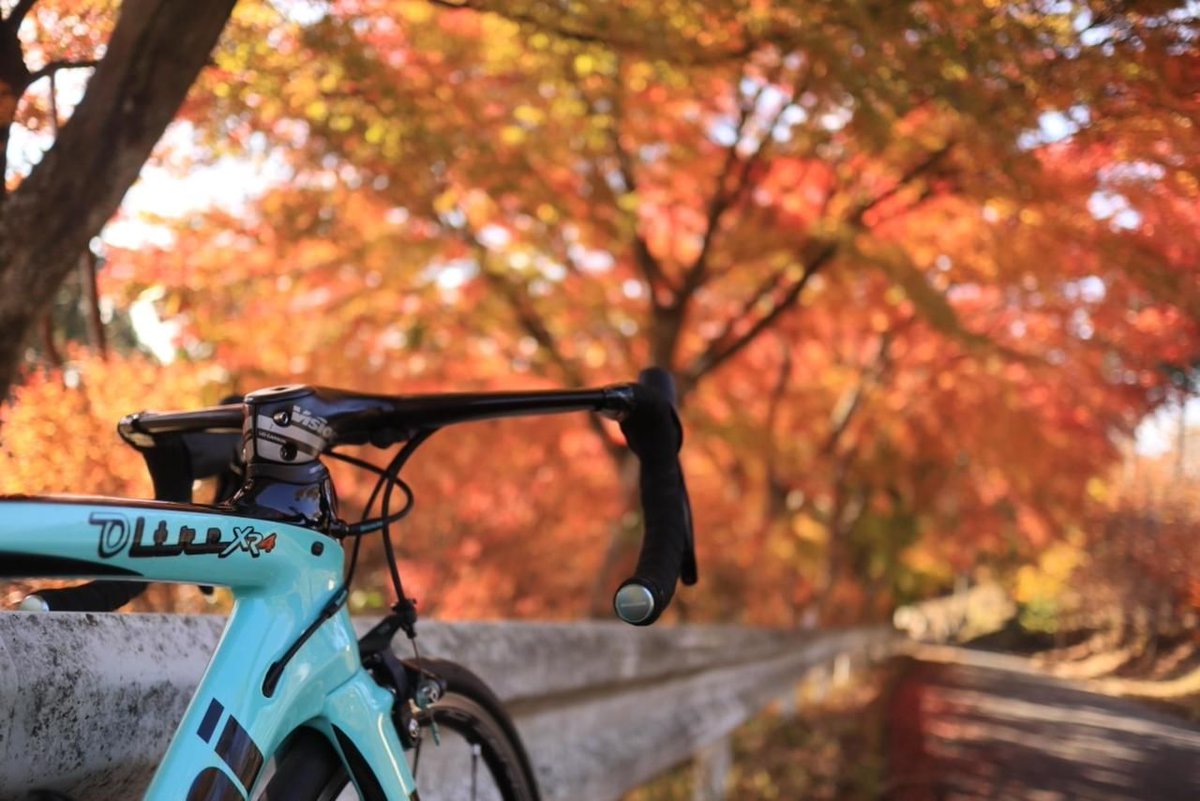 Roadquest ロードクエスト 白石峠 埼玉県 台風災害の道路崩落から復活しました 白石峠から更に2km堂平山天文台は紅葉が見頃でした Oo 関東の暖かいところでも紅葉が見頃になってきましたね T Co Nnv6vtkfy0 T Co Roadquest ロードクエスト 白石峠 埼玉県 台風災害の道路崩落から復活しました 白石峠から更に2km堂平山天文台は紅葉が見頃でした Oo 関東の暖かいところでも紅葉が見頃になってきましたね T Co Nnv6vtkfy0 T Co