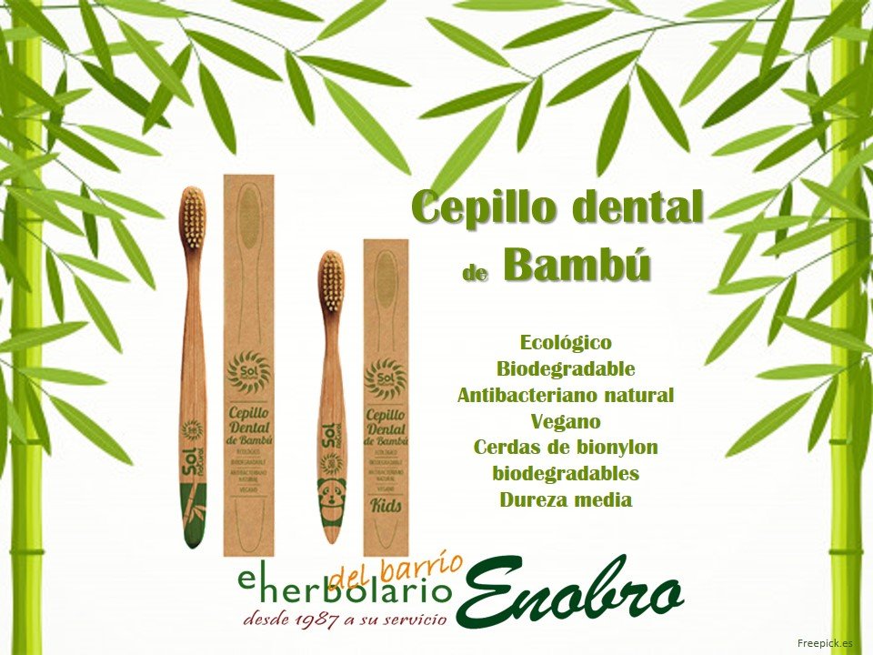 her_enobro's tweet photo. Cepillo dental de bambú para toda la familia 👧👲👩‍🦰👨‍🦱
#cepillodentaldebambú #bambú #biodegradable #ecológico #vegano #antibacteriano #natural #mejornatural #StopPlasticPollution #sinplástico #bio #nohayplanetaB https://t.co/rJtAnQfS6z