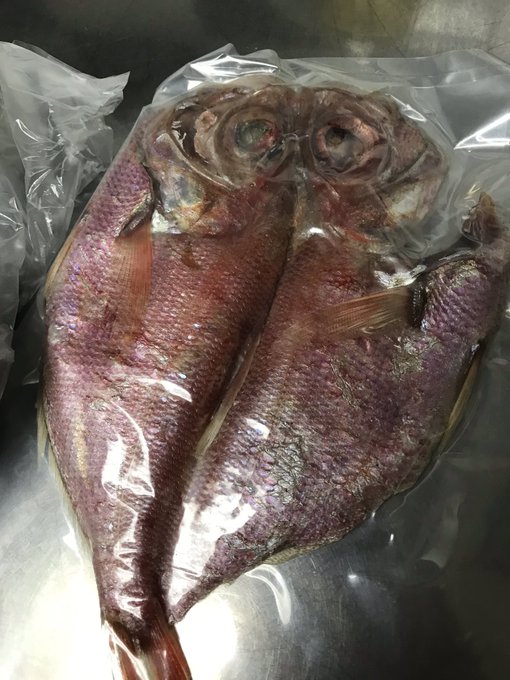 金目鯛のtwitterイラスト検索結果 古い順