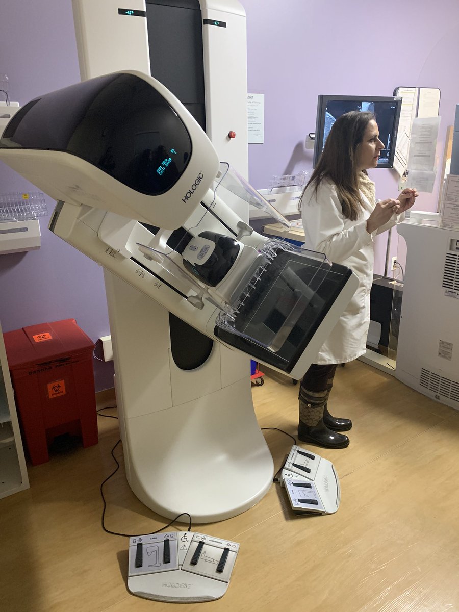 LosAltos Renaissance tweet media