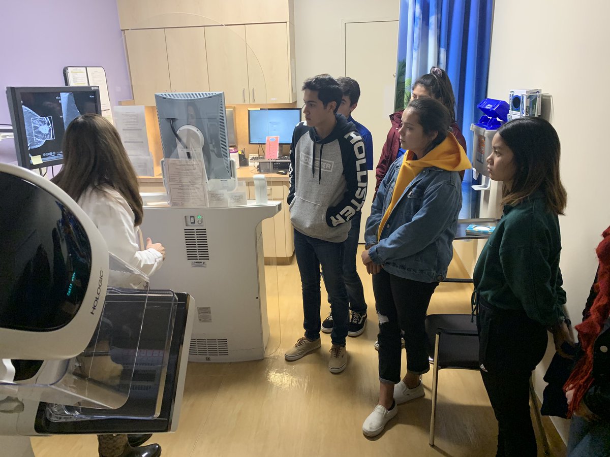 LosAltos Renaissance tweet media