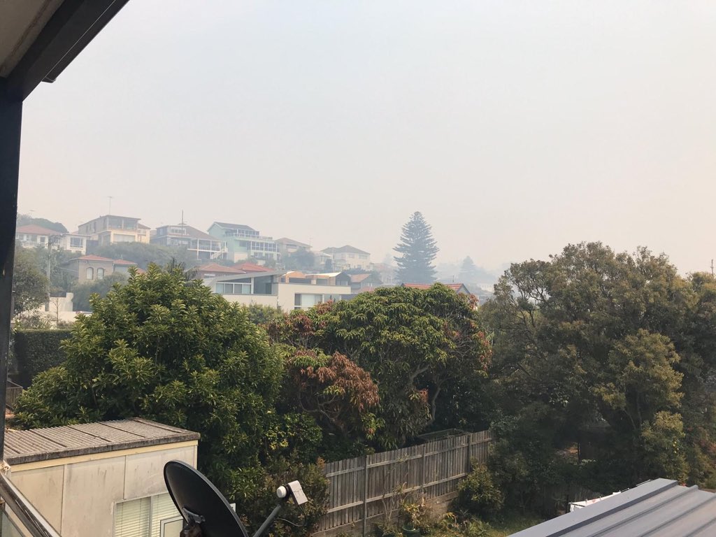 People are starting these fires and it’s about time the #Australiangovernment turned some of the vast resources used in finding terrorist towards #arsonists 
Bushfires may be good for politics however sensible people are sick of the drama. lock people up or hire someone who will.