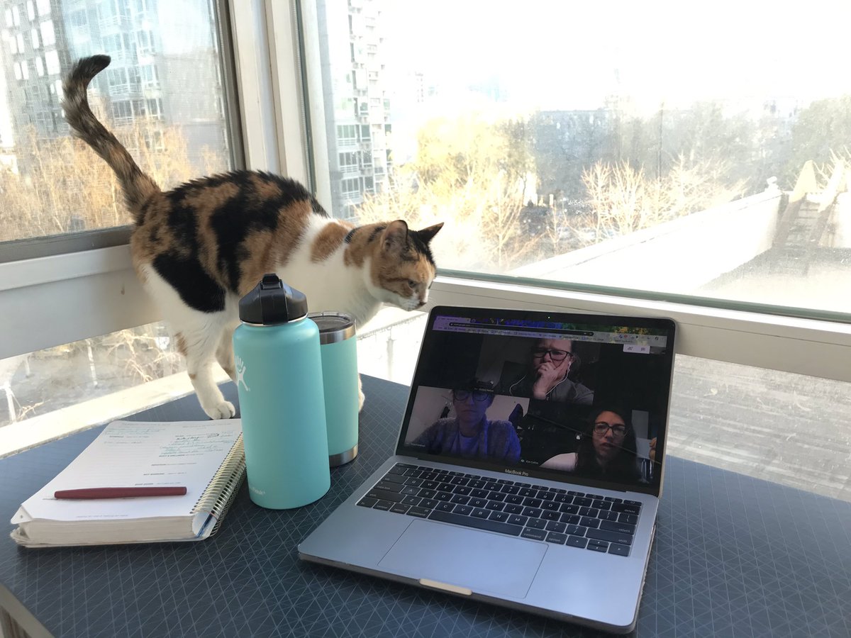 MmeLayman's tweet image. Nijumi made it to this morning’s #edurolearning team meeting...and she has a lot to say! #edurokittens