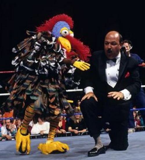 RealBigMayo's tweet photo. @WIncRebel @orangecassidy He was dressed like a turkey last week. Was he trying to be The Gobbley Gooker? https://t.co/dadn3ST8Ih