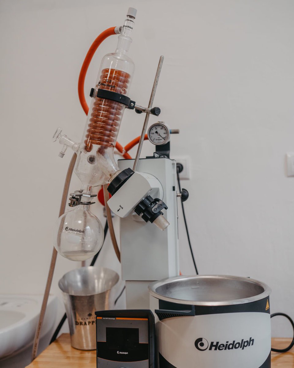 Senses_Rest's tweet photo. Only a portion of what you see on plates at #SENSES happens in the lab. It is Andrea's place to think and experiment. https://t.co/GgJysz9MYN