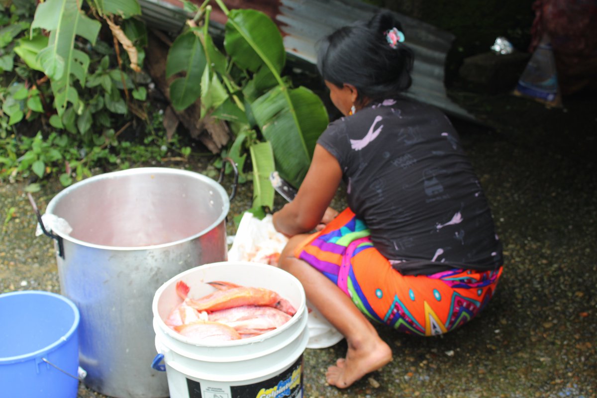 CJAkubadaura's tweet photo. #Colombia
#ProgramaDepartamental #MujeresIndígenasChocó 
#MesaIndigenaChocó
Seguimos tejiendo con nuestras mujeres que han caminado el territorio compartiendo las difrententes experiencias de vida!¡ para fortalecer sus liderazgos en el tiempo y espacio. https://t.co/4FRbgezNnd