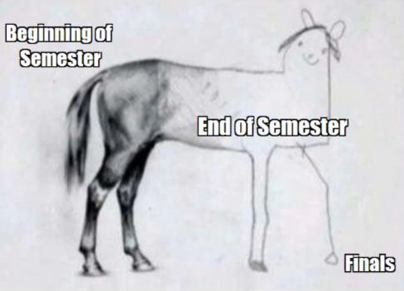 MN Running Club tweet media