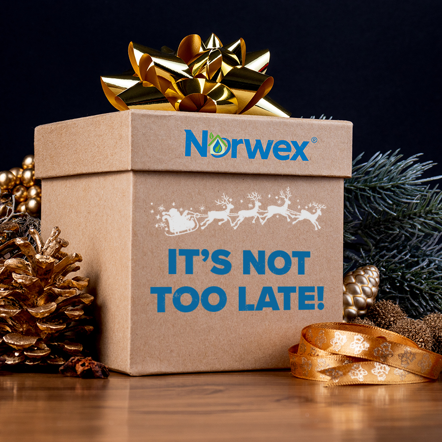 Norwex Christmas