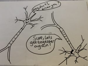 freshleafhypno's tweet photo. How Solution Focused Hypnotherapy Changes the Brain https://t.co/IYecCpvQAF https://t.co/Y3Png8vGYc