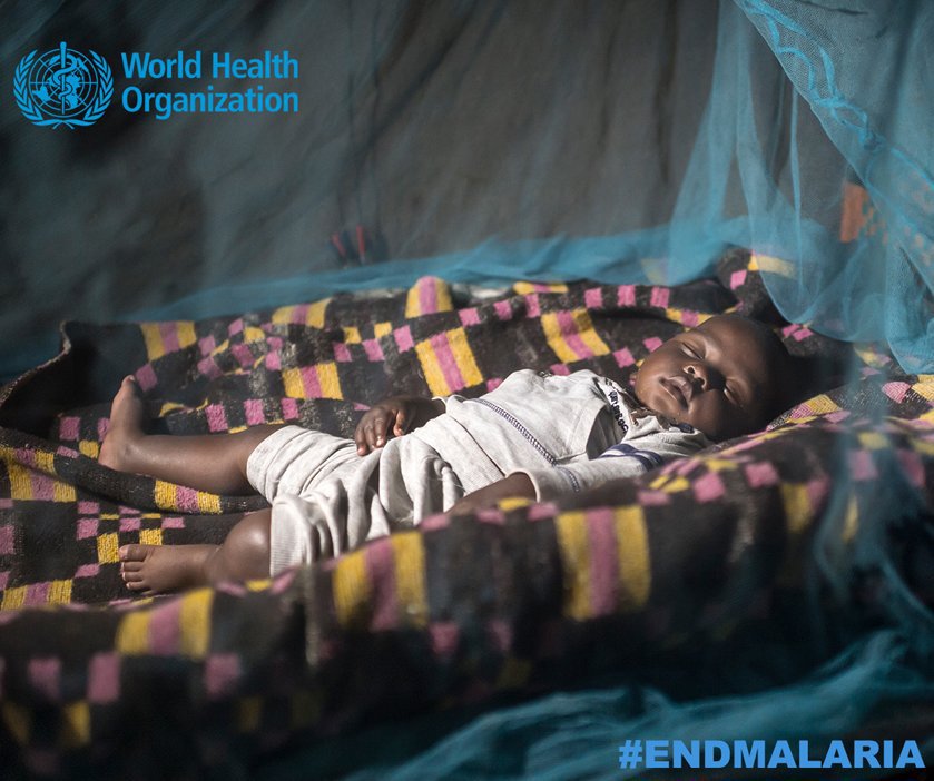 UN's tweet photo. Number of pregnant women &amp; children in sub-Saharan Africa using bed nets &amp; preventive medicine for malaria has increased, yet accelerated efforts &amp; more funding needed to #EndMalaria. https://t.co/FS5j69NP1W via @WHO https://t.co/n2fiOuqPT7
