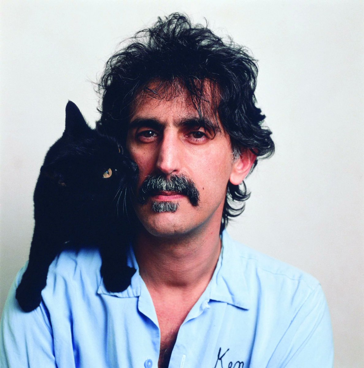 #FrankZappa #Zappa