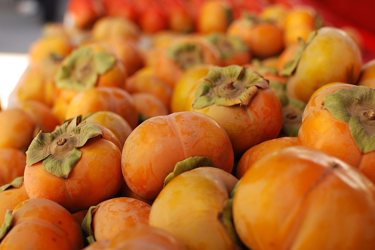 Get inspired for a delicious and healthy holiday season! This Sunday, December 8, join us for free flu shots, fitness classes, seasonal food tastings, kids’ activities, and more.

Learn more: cuesa.org/event/2019/hea…