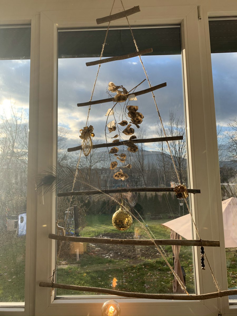 Martha Bissmann Ich Mag Auch Keinen Toten Baum Im Zimmer Daher Hangefensterbaum Ahoi