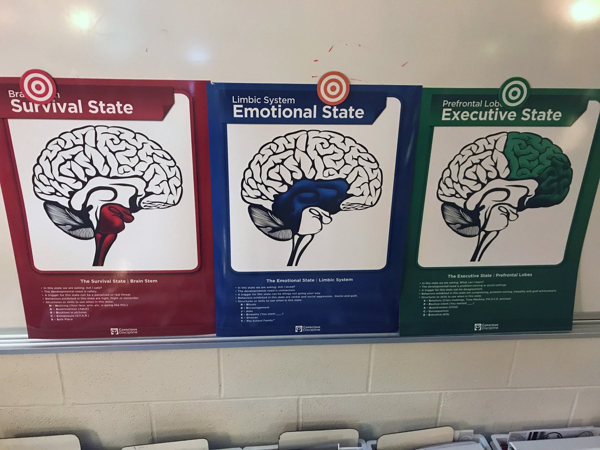 Bellevue_Ind's tweet photo. Thank you to @BellevueEF for donating the funds to make these safe crates possible for every teacher at Grandview! Each team is learning how to efficiently and effectively self-regulate and get back to our "green brain" where we can problem solve and focus. #LoveTheVue https://t.co/FSDKh9VfOX