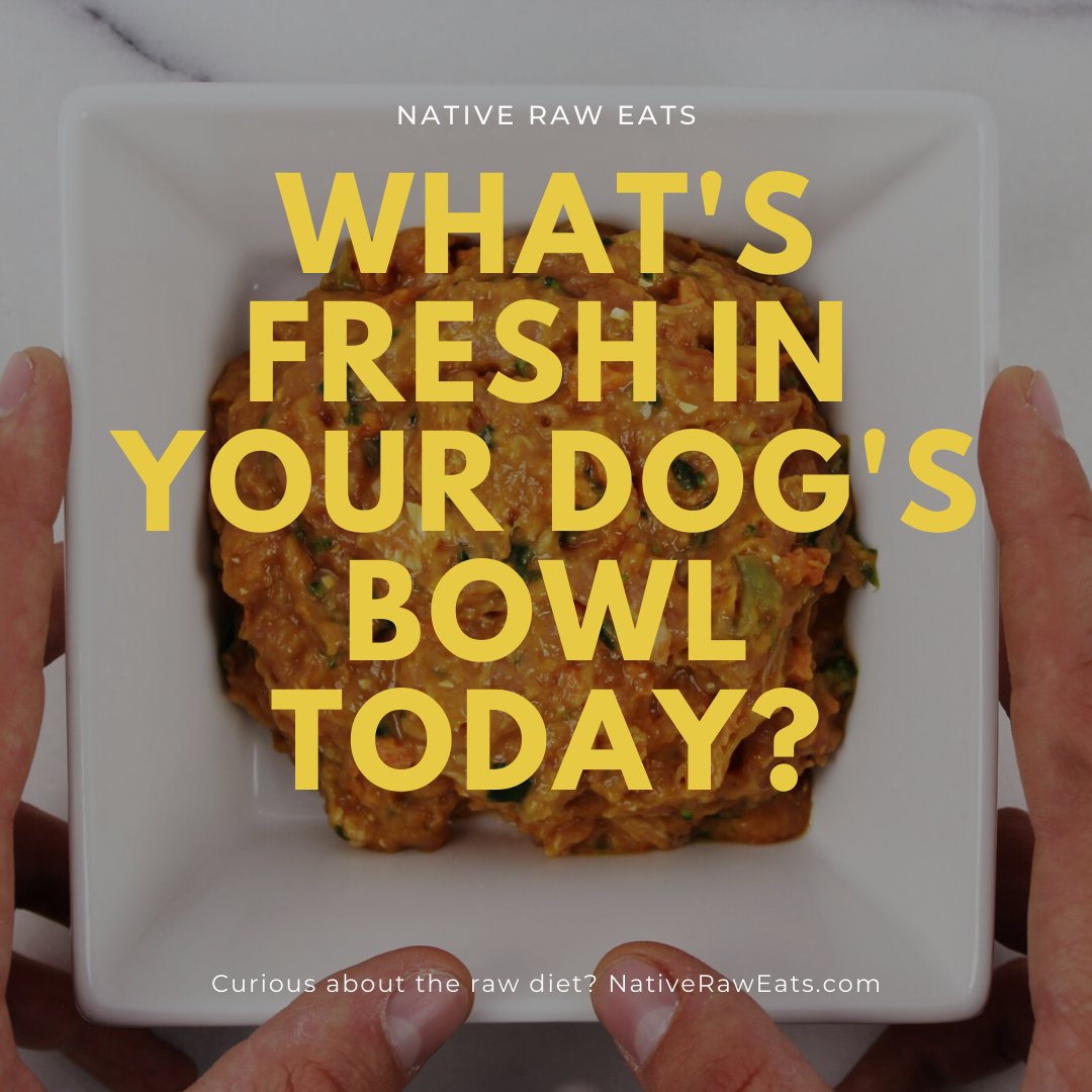 native_raw's tweet image. Do you want to know what's in our raw dog food meals? 🐾🥕🍖

ow.ly/NPf350xqMvh

Your dog will appreciate it.

#rawdiet #rawdogfood #allnaturaldogfood #rawfeddog #coloradodogs #denverdogs #dogsofdenver #doglover #dogfood #puppies #rawfeddogs #healthydogfood #nativeraweats