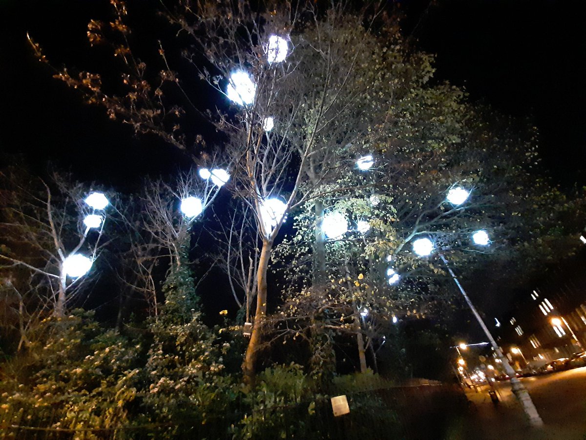 Lights twinkling on <a href="/MerrionSqDub/">Merrion Square</a> thanks to <a href="/ESBGroup/">ESB Group</a> <a href="/ESBNetworks/">ESB Networks</a> #christmasonthesq