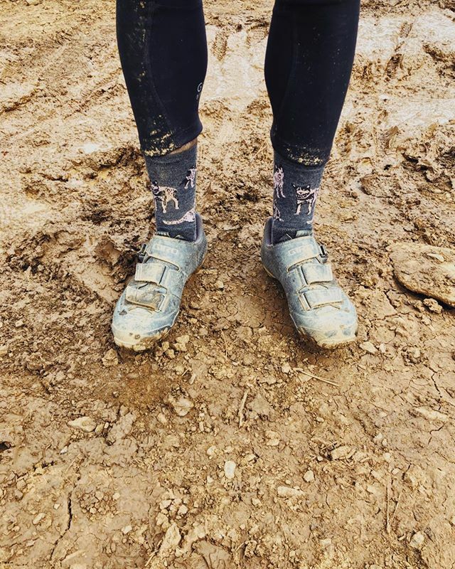 boxdogbikes tweet media