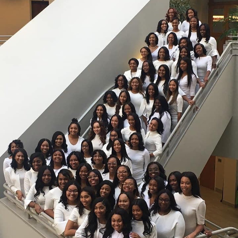 AKAMETRODET9's tweet image. Welcome the newest Metro Detroit undergraduate members of Alpha Kappa Alpha Sorority Inc:
#XiChapter, EMU
#DeltaZeta, MSU
#BetaMu Wayne State
#XiPhi U of M -Dearborn
Welcome Sorors! 💕💚akametrodetroit9 #aka1908 #undergraduates #neophyteseason #welcometothesisterhood