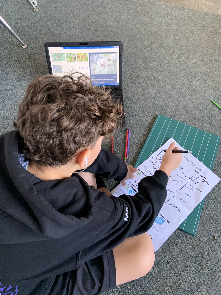 msmelisa01's tweet image. The magic of the #montessori #workcycle 🥰🥰🥰 at times it may be chaos but when it’s good, it’s great! @renfrewschool @VSB39