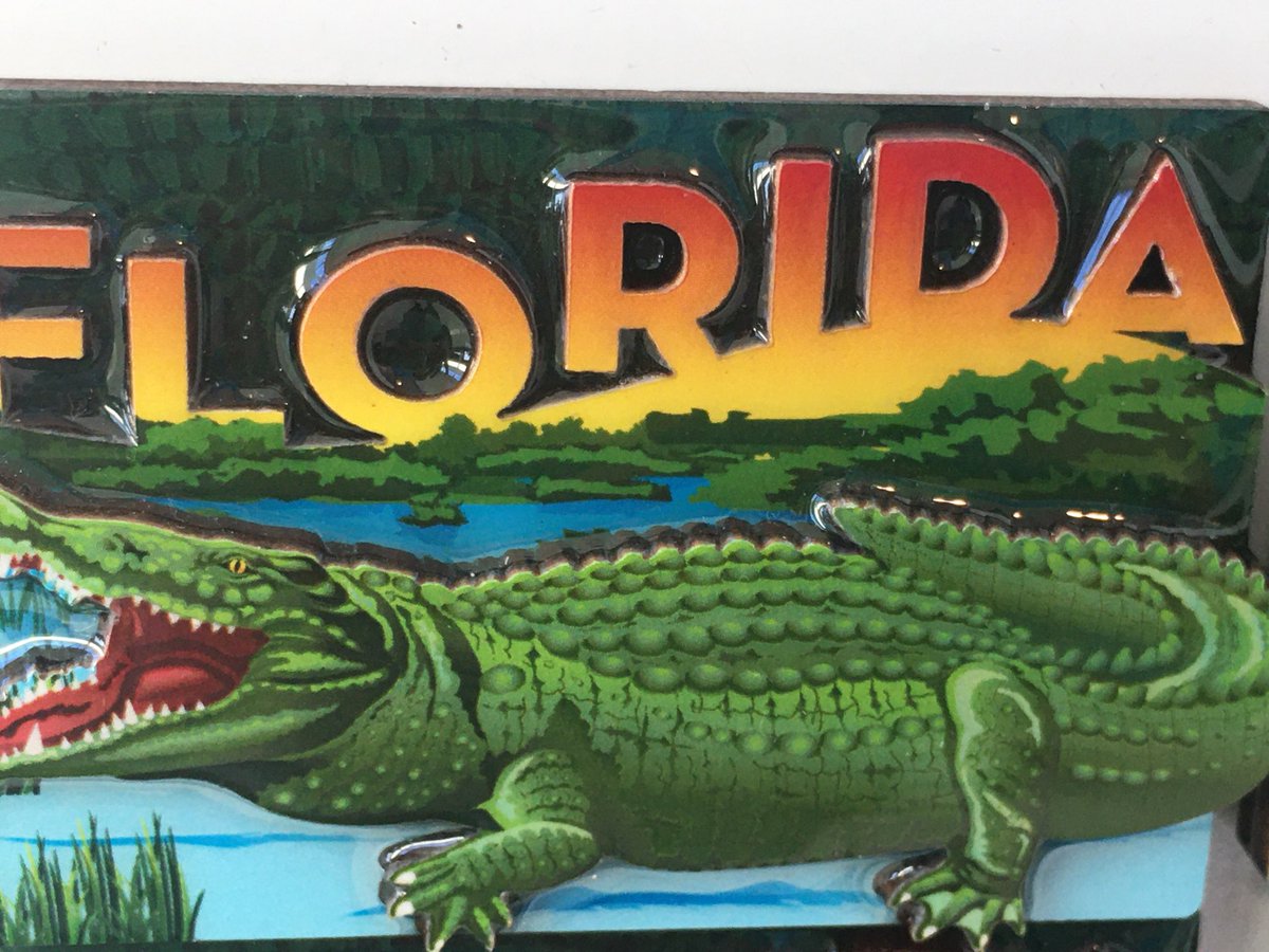 Our researchers have been busy travelling the country and visiting some of the 90+ participants in GA, NC, TN and FL. Up next: WY, CO, MN and IL! 
We greatly appreciate the participants that let us follow them after they move and the researchers that travel so much.