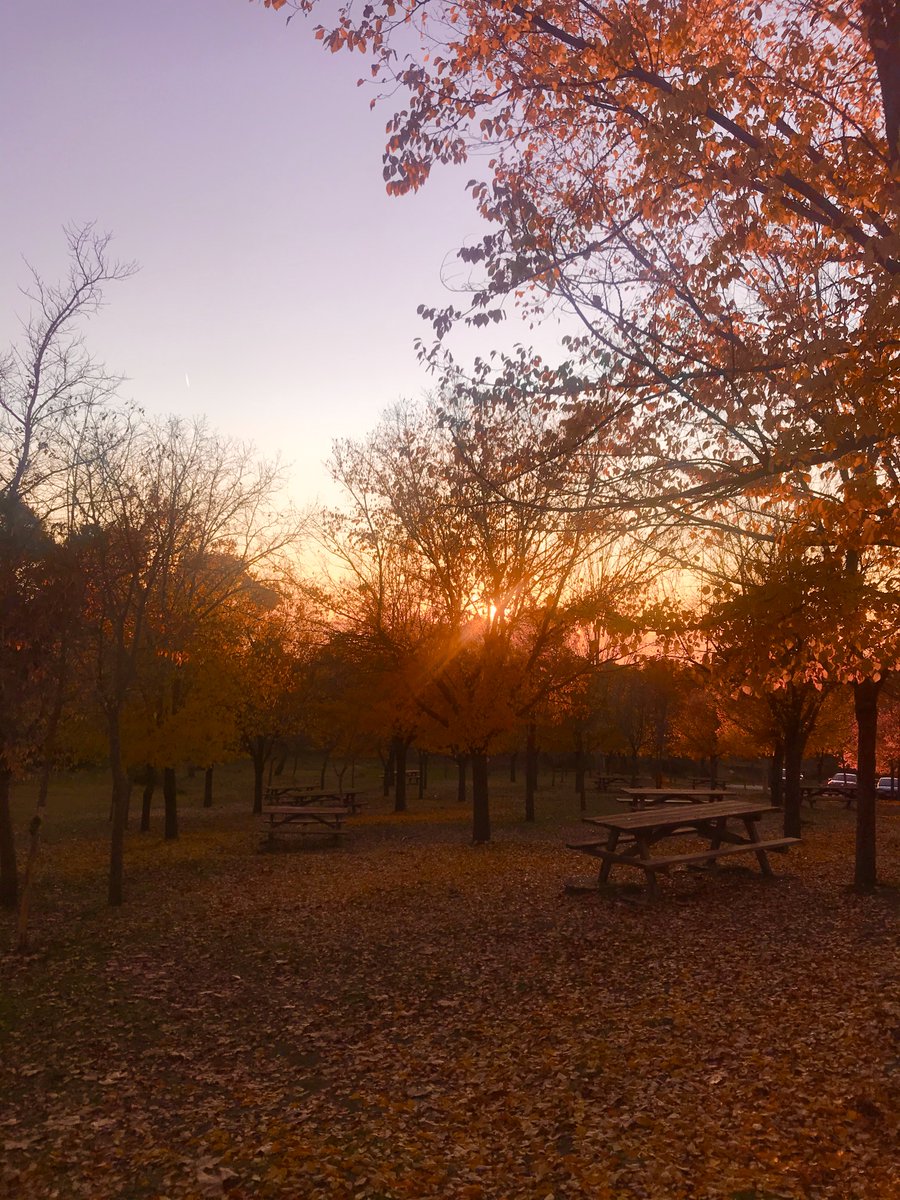 FinalEstanteria's tweet image. El error …estanteriallenandovacios.blogspot.com/2019/12/el-err…

En el #vivir
está el #errar.
Pero hay errores
imperdonables
que apagan
la primavera,
que esconden recuerdos
y alimentan nostalgias [...]
Errores que te convierten
en #error

#PoemADay #Poesía @Poemas_del_alma #LetrasyLatidos #LYF15 @TweetInPoesia