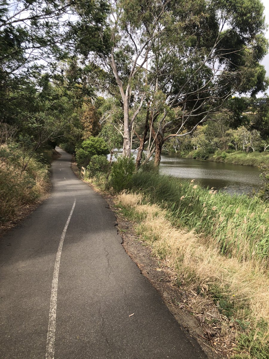 galen_holt's tweet photo. Thanks for a great #AFSS2019 everyone. Hope everyone’s commutes home are as pretty as mine was this morning. https://t.co/jNPw0vX8Wa