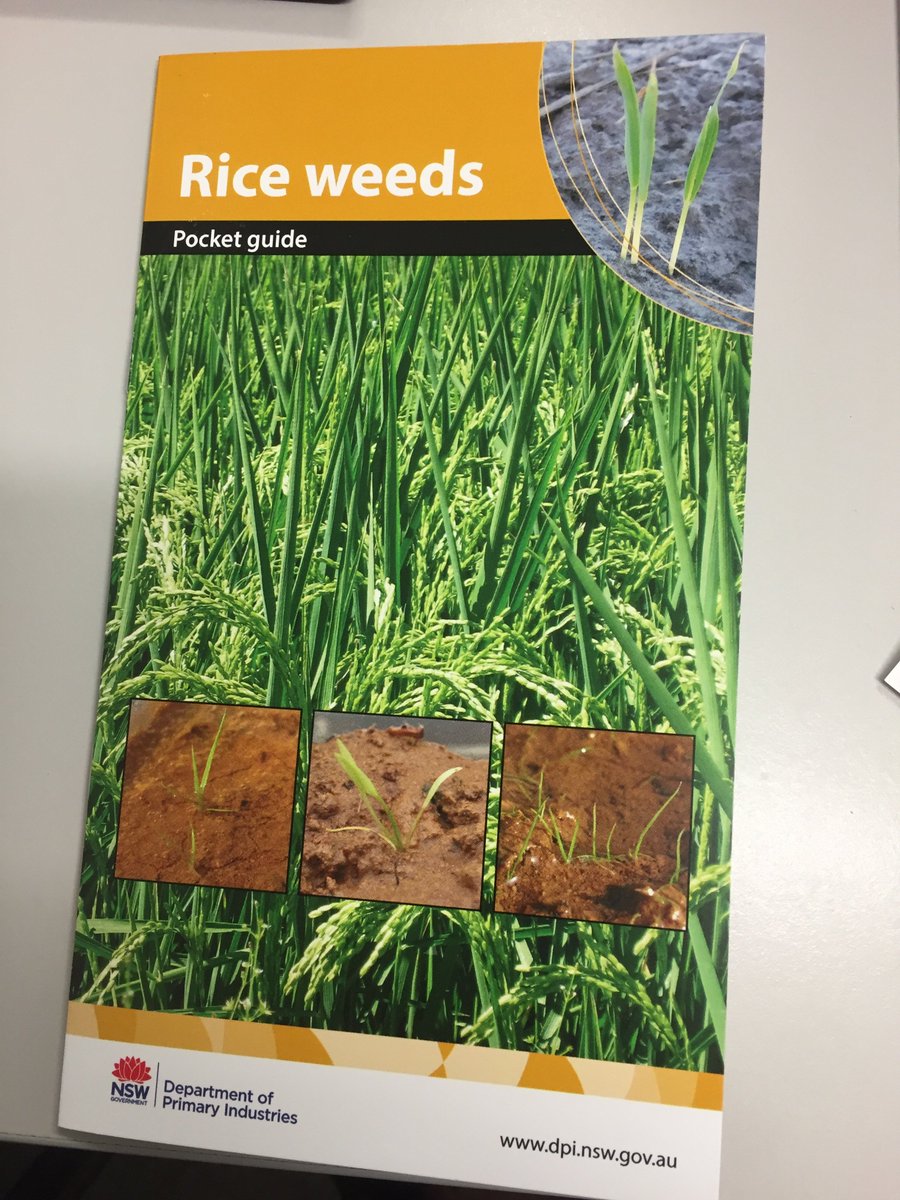 New rice weeds pocket guide completed and handed out at agronomists day at RRAPL thanks @RiceExtension for the day. @NSWDPI_AGRONOMY , @GrowerService , @ricegrowers