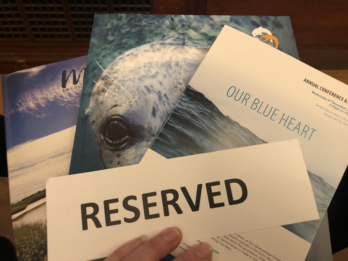 Row Aurora tweet media