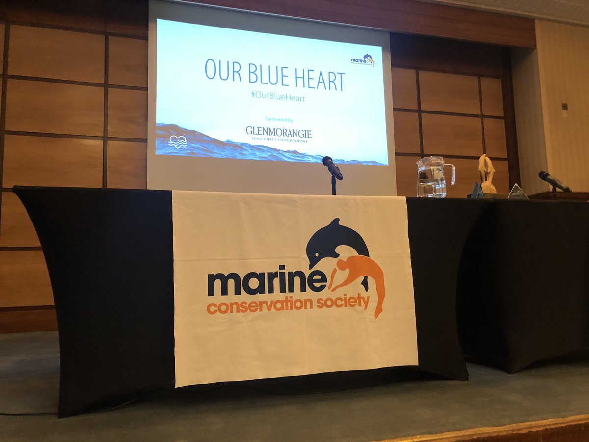 Row Aurora tweet media