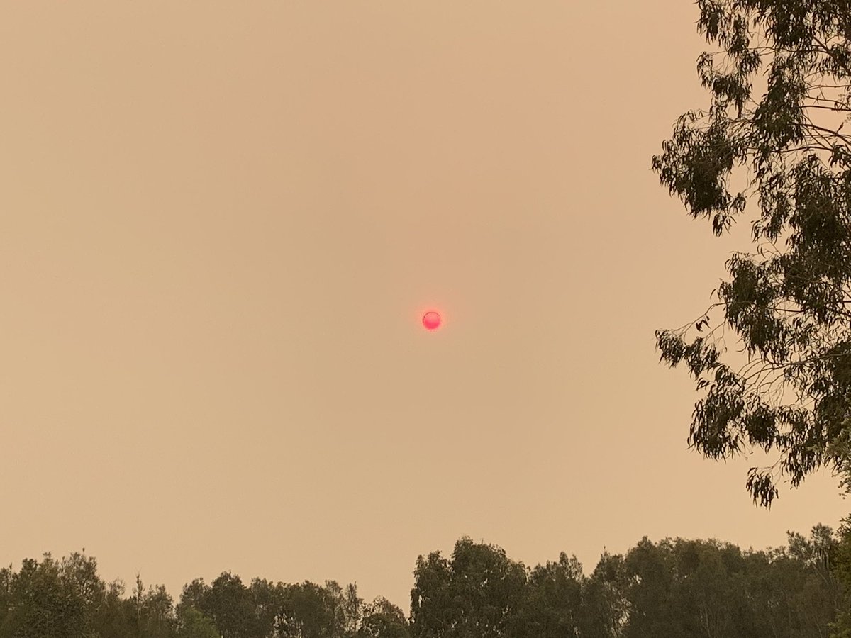 ArfanAmeer's tweet image. Smoky sky and Pink sun #pinksun #sydney #nswfires #smokeintheair #australiafires #bushfire